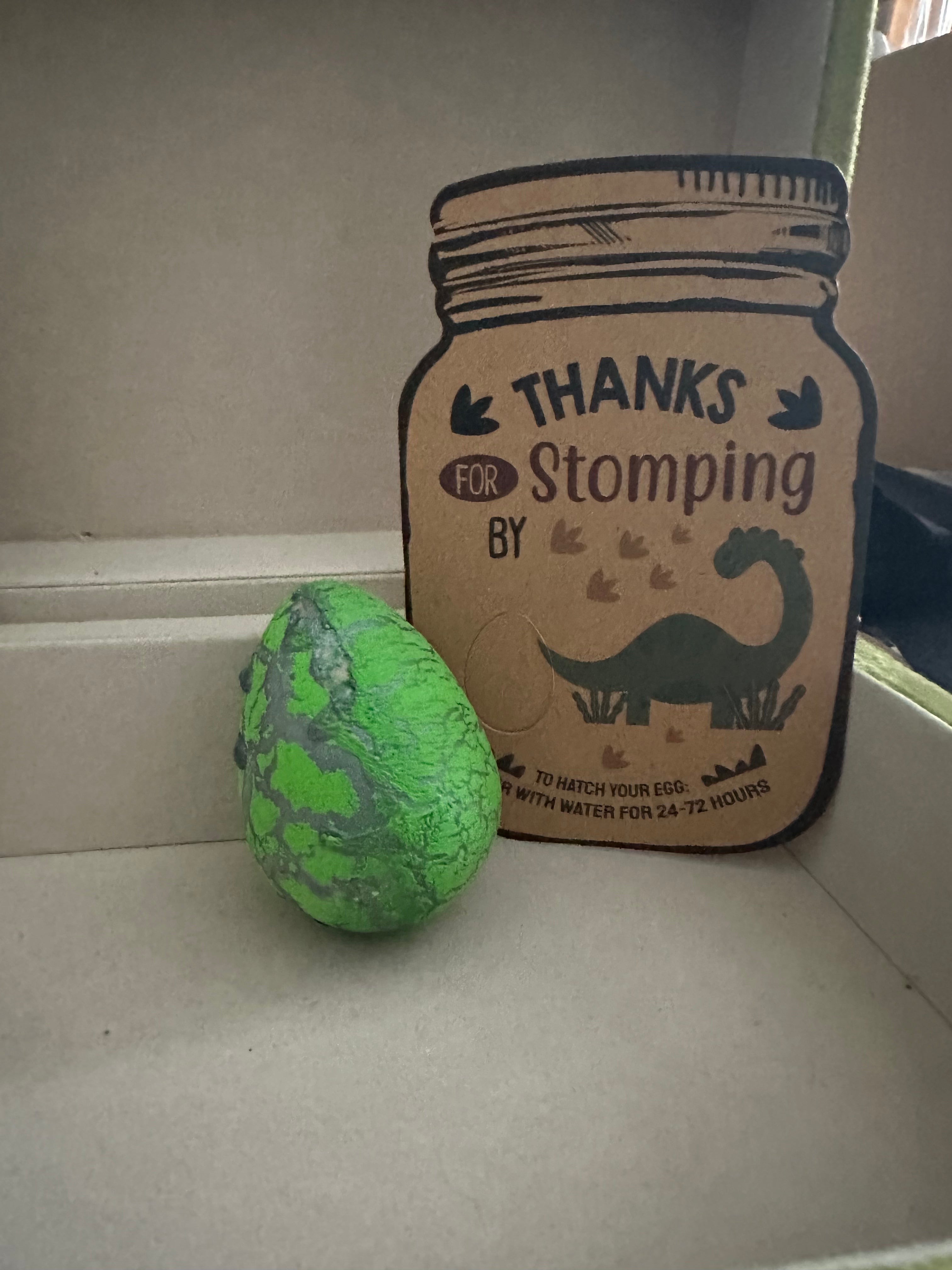 Assorted colorful dinosaur eggs arranged around a “Thanks for Stomping By” card, designed as fun hatchable toys for children’s dinosaur-themed parties.