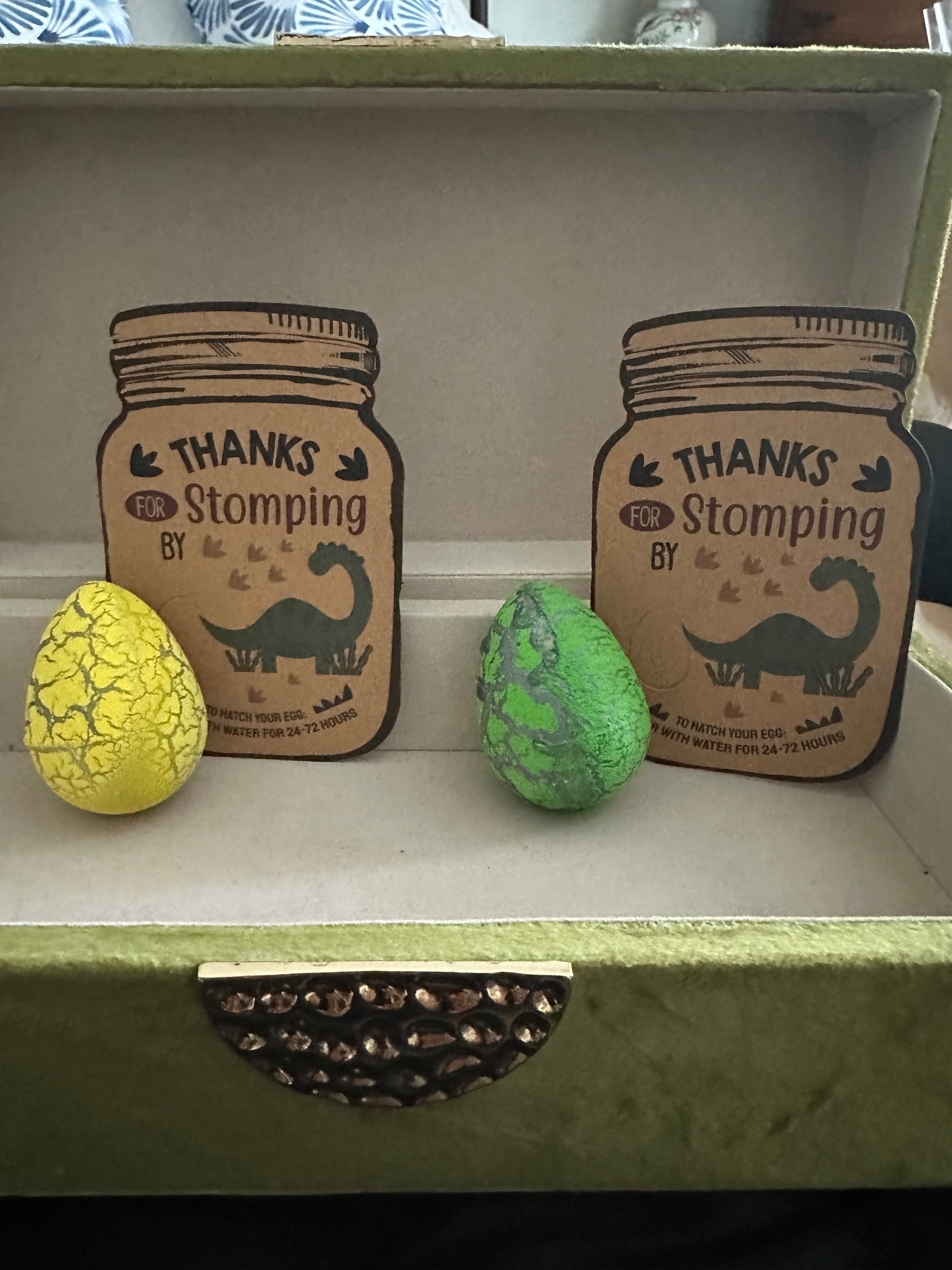 Colorful crackle dinosaur hatchable eggs arranged with a “Thanks for Stomping By” tag—ideal for kids’ dinosaur-themed party favors and goodie bags.